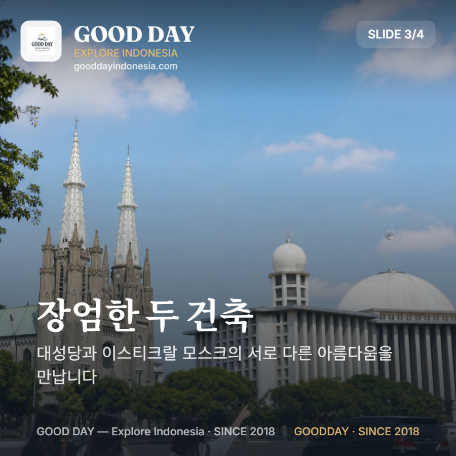 20260820_195225485.png